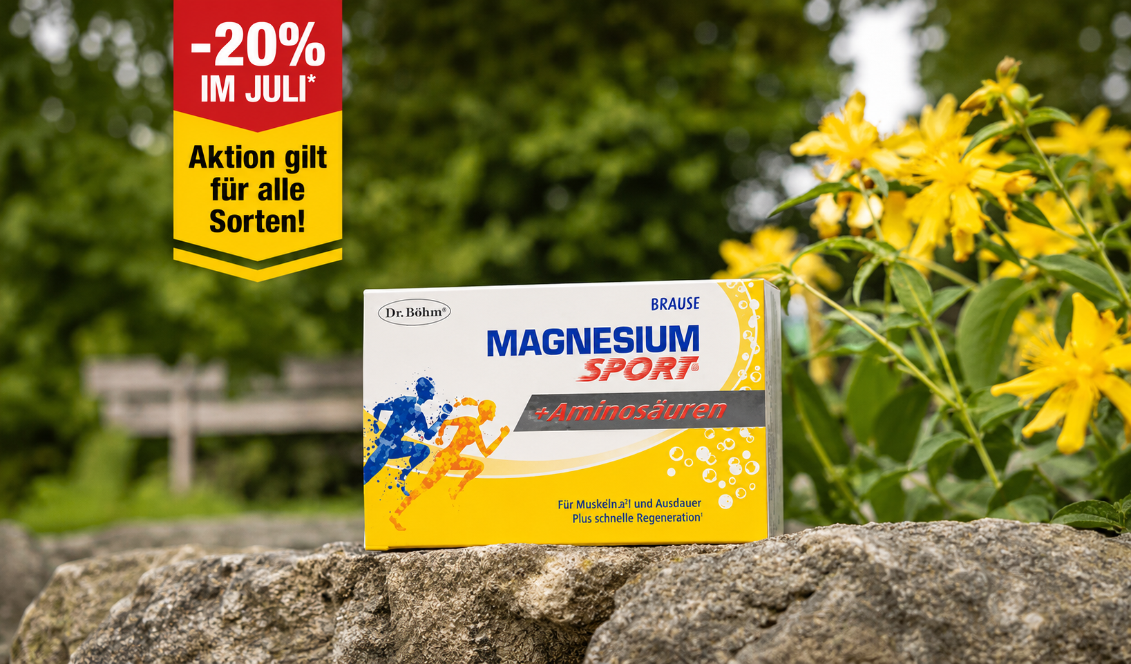 Dr. Böhm Magnesium Sport